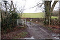 Llwybr y Parc / Parc footpath