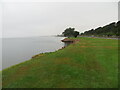 Grass pathway between the road (B817) and Cromarty Firth, at Invergordon