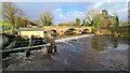 Otterspool Bridge, weir and Stockport Hydro