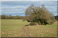 Farmland, Hughenden