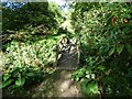 Footbridge over the stream to the Stable Pool