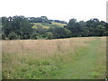 Towards Kilmersdon Common