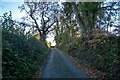 Bovey Tracey : Country Lane