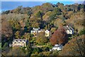 Lustleigh : Village Scenery