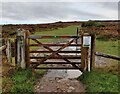 SO3697 : Gate and track to the Stiperstones by Mat Fascione