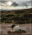 SO3697 : Rock on the Cross Britain Way at the Stiperstones by Mat Fascione