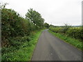 NY4678 : Hedge-lined minor road near to Nookgate by Peter Wood