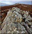 SO3698 : Rock outcrop on the Stiperstones by Mat Fascione
