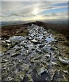 SO3698 : Shropshire Way on the Stiperstones by Mat Fascione