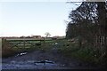 Farmland off Birkinheath Lane