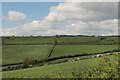 Fields near Swyre