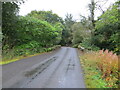 Minor road and bridge near Cossarhill Farm