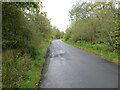 Road (B709) near to Thirlestane Gardens