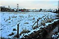 Field behind the fire station