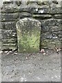 Old Boundary Marker