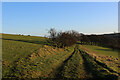 Footpath between Wheelton and Brinscall heading North East