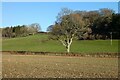 Farmland, East Tisted