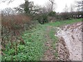 Stile in the Corner of a Field