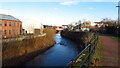 Five Weirs Walk & River Don SW of Newhall Road Bridge