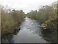 River South Esk downstream from Brechin Bridge