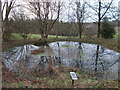 Round pond at Church Lane, Latimer