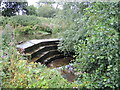 Weir on Cannington Brook