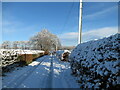 Snow at Whitegateshaw, Strathaven