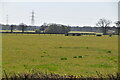 Farmland south of Horne