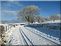 NS7147 : Snow on minor road near Whitecraigs by Alan O'Dowd