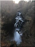 NS8841 : Falls of Clyde, Corra Linn by Steven Brown