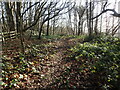 Footpath off Precious Lane