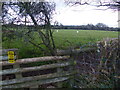 Stile at path junction, near Chepstow