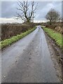 Country road near Myrtle Hill