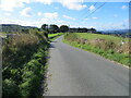 Minor road descending towards Shawpark, Selkirk