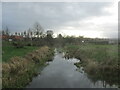 The River Maun.