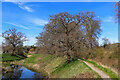 Berkhamsted Castle