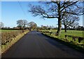 Forty Acre Lane towards Long Lane