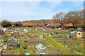 Northchurch Allotments