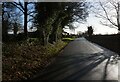 Congleton Lane towards Swettenham