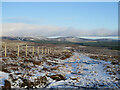 NT8515 : On Windy Gyle with a view towards cloud-capped The Cheviot and Hedgehope Hill by James T M Towill