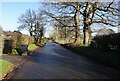 School Lane, Marton