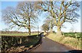 Farm track to Jackfields Farm off Sandy Lane