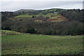 Grazing land by Walker Brow Farm