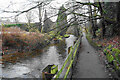 Path by the River Goyt