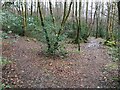 Junction of paths, Kinlochleven