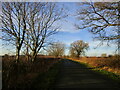 SK4322 : Lane near Gelscoe Lodge Farm by Jonathan Thacker