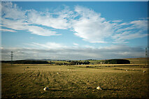 ND1460 : Farmland near Halkirk, Caithness by Julian Paren