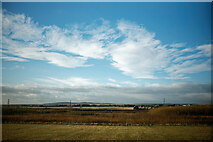 ND1459 : Farmland near Halkirk by Julian Paren