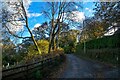 Lustleigh : Country Lane