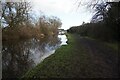 Trent & Mersey Canal towards bridge #19